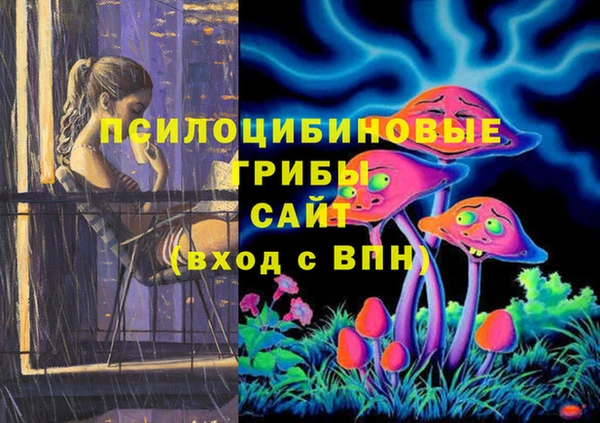 мескалин Гусев