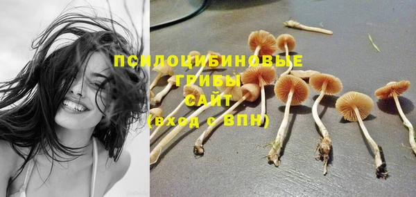 ГАЛЛЮЦИНОГЕННЫЕ ГРИБЫ Гусь-Хрустальный