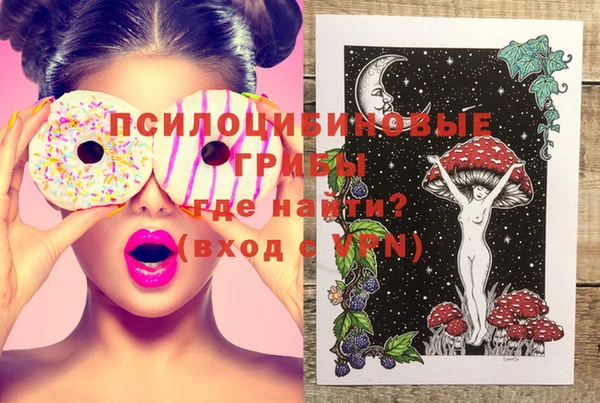 ГАЛЛЮЦИНОГЕННЫЕ ГРИБЫ Гусь-Хрустальный