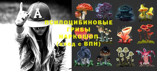 мяу мяу мука Горняк