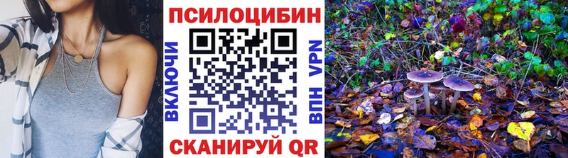 Псилоцибиновые грибы Psilocybe  Тула 