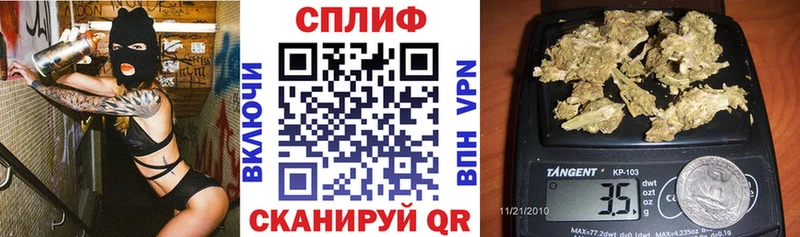 Канабис планчик  гидра ТОР  Тула 